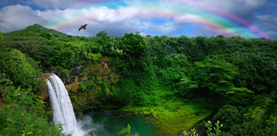 Wasserfall in Kauai